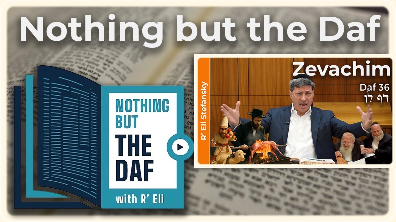 CHAZARAH - Zevachim Daf 36 | "Nothing but the Daf" with R' Eli Stefansky