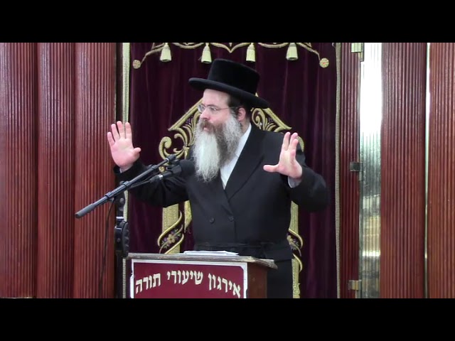 הלכות בדיקת וביטול חמץ - הרב בנימין ברייער