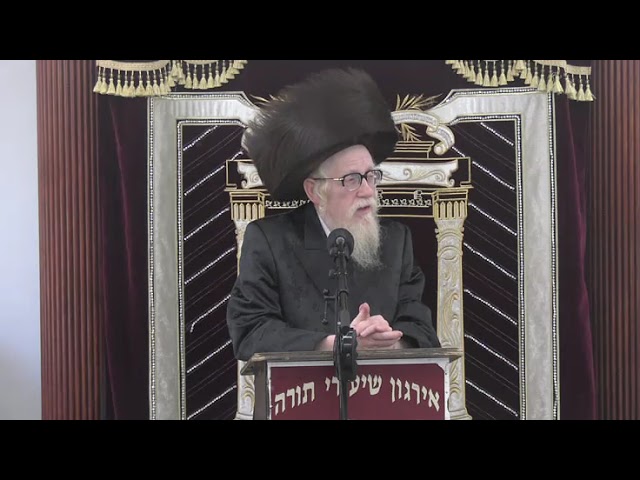שואל כענין ומשיב כהלכה בד' חלקי שו"ע - ר' יחיאל מיכל שטיינמעטץ שליט"א