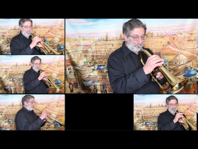 Lenny Friedman - Yerushalayim Shel Zahav | לני פרידמאן - ירושלים של זהב
