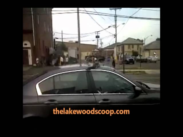 Vulture Feasting On Bird On Top Of Car Lexington Avenue