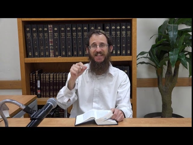 מוסקט # פרשת וישלח