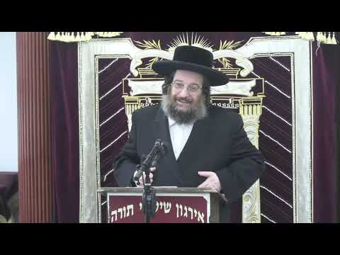 ליהודים היתה אורה ושמחה" הכנה לפורים -  ר' שלום יוסף פריעד שליט"א"