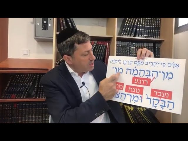 Daf Yomi Niddah Daf 41  by R’ Eli Stefansky