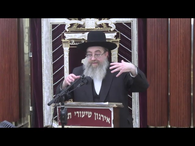 על אלה אני בוכיה כי רחק ממני מנחם משיב נפשי - ר' אלעזר ברוך באלד שליט"א