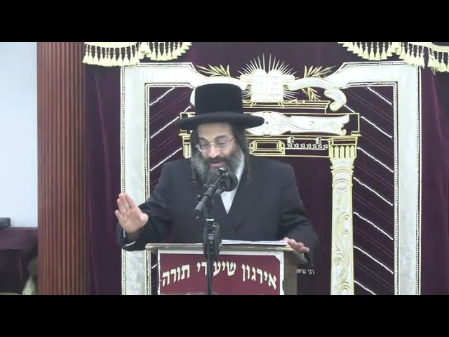 שדכנים ושידוכים בהלכה - איזה מומים צריכים לגלות?- ר' שאול יחזקאל שווארץ שליט"א