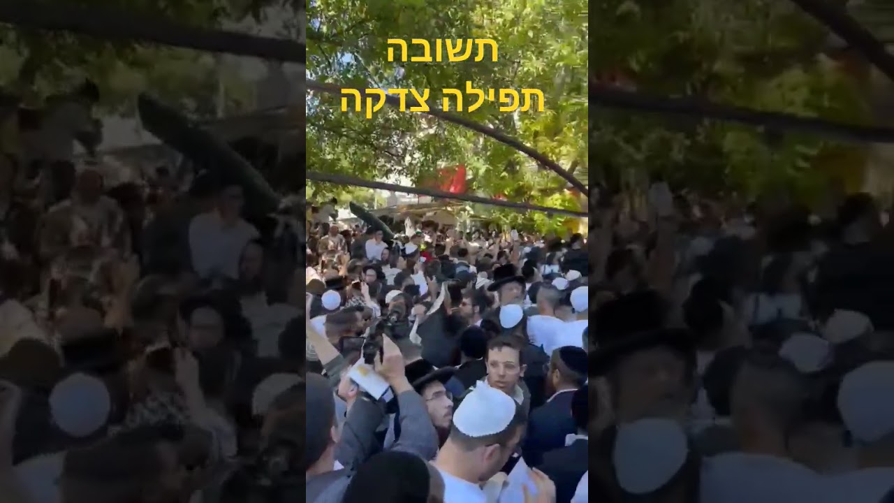 תשובה תפילה צדקה