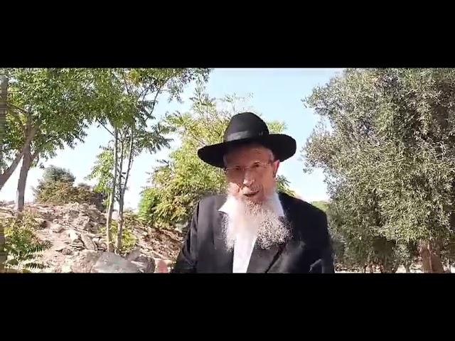 מדוע הגיעה אלינו המלחמה הקשה? | הרב ישראל אריאל בעצרת התפילה בהר הבית