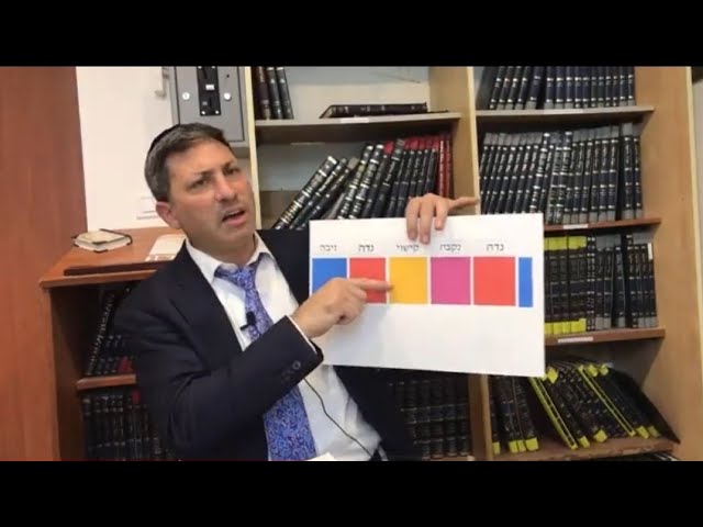 Daf Yomi Niddah Daf  38 by R’ Eli Stefansky