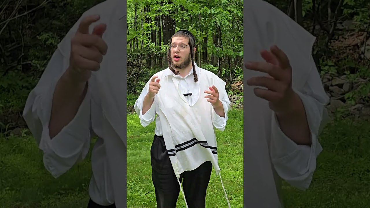 The truth about my visit to the Lev Tahor Cult #levtahor #cult  #abrahamschwartz