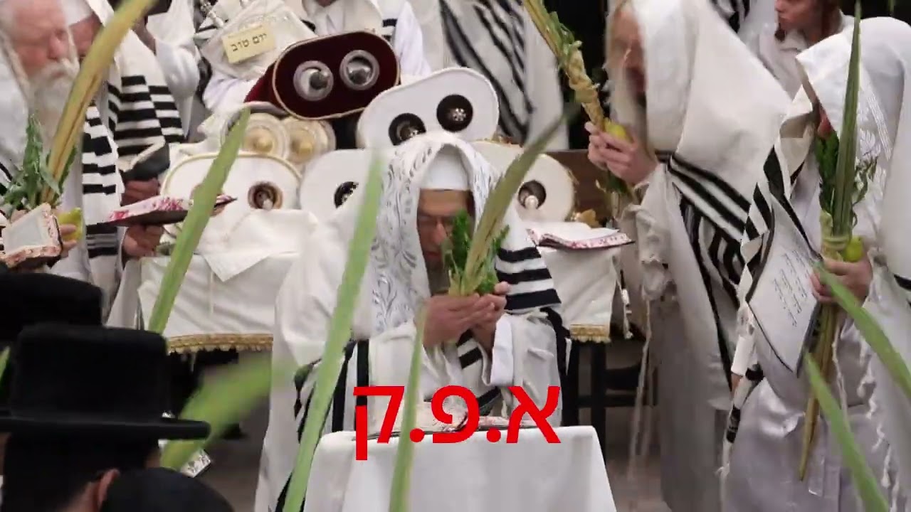 הושענא רבה בחצר הקודש פינסק קרלין