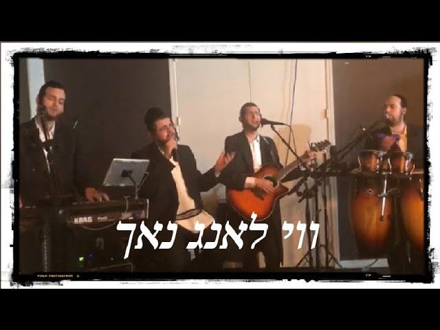 Dovy Meisels • Hershy Weinberger • Don Stern | ווי לאנג נאך