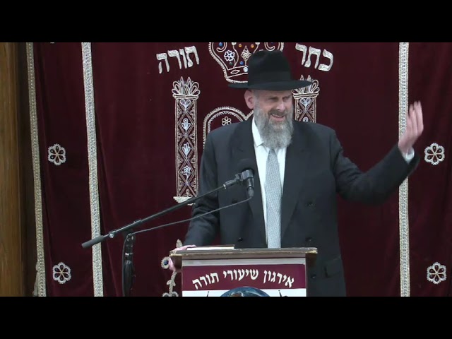 Asking For Guidance / Begging For Help: Potential, Power and Parameters of our Tefilos - R' Viener