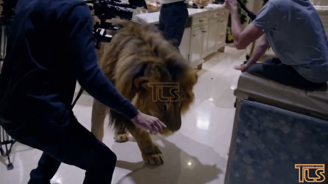 Famous Lion travels from Lakewood to Orlando