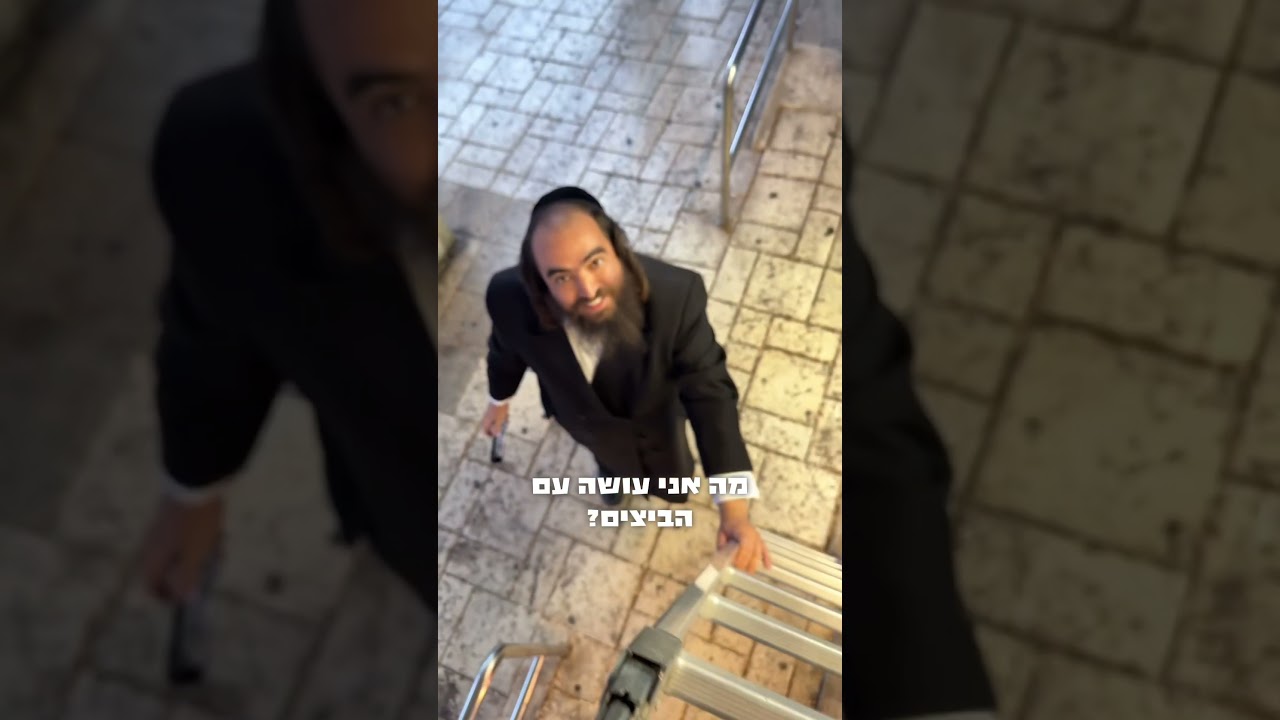 איש ״שילוח הקן״ ליצירת קשר תשלחו לו ווטסאפ 0537240213