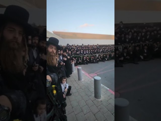 קבלת פנים למרן האדמו"ר מוזי'ניץ בנתב"ג
