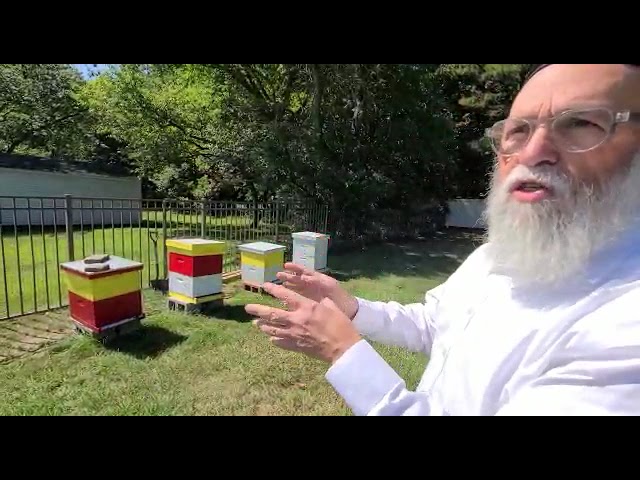 how it's made local backyard honey
