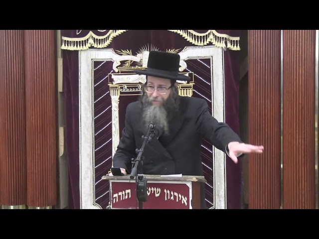 הרבה דרכים למקום - אלו ואלו דברי אלקים חיים -  ר' צבי אונסדארפער שליט"א