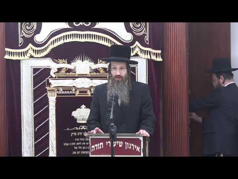 דיני תפלה בציבור -  ר' אברהם צבי פריעדמאן שליט"א