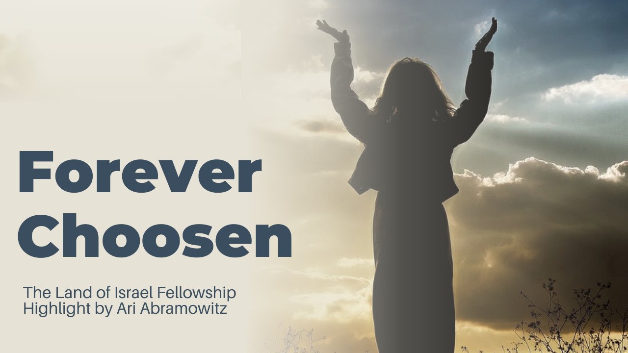 Forever Chosen - Ari Abramowitz: The Land of Israel Fellowship