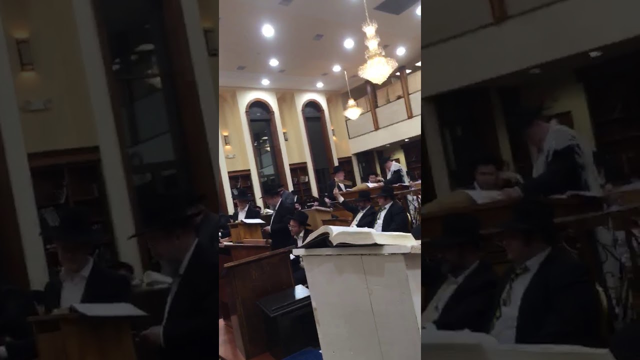 Rabbi Shlomo Gissinger ztz"l at Megilla