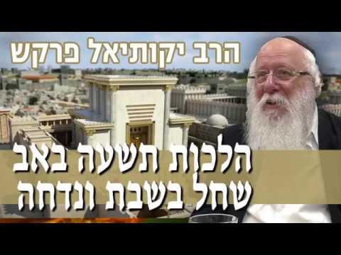 הלכות תשעה באב שחל בשבת ונדחה הרב יקותיאל פרקש