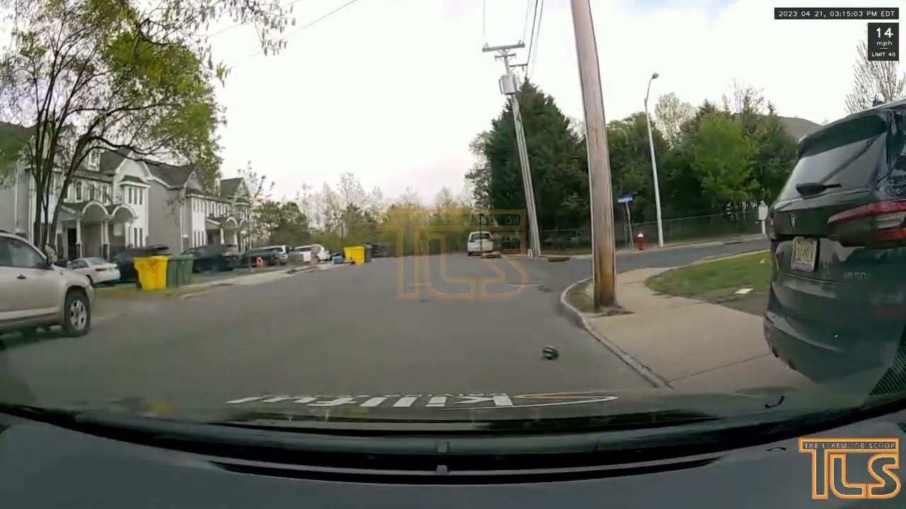 Kid chasing after ball into street