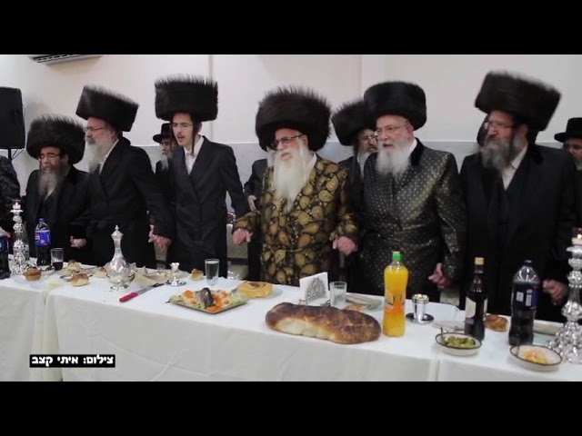 Sheva Brochos For Sanz Rebbe's Granddaughter - Tammuz 5784