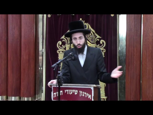 נהיגה ונסיעה Driving כהלכה - ר' אלעזר ניסן רובין שליט"א