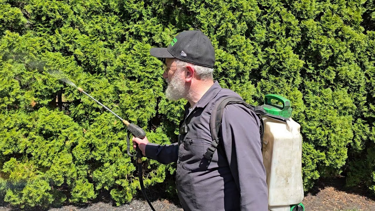 Mid Atlantic Pest Control Summer is here! Make sure your property is safe from Ticks &  Mosquitoes!