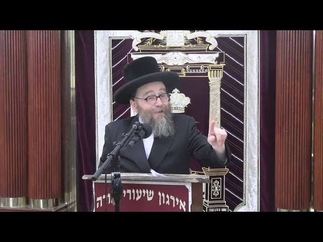 השגחה מה היא? -  ר' משה מנחם ווייס שליט"א