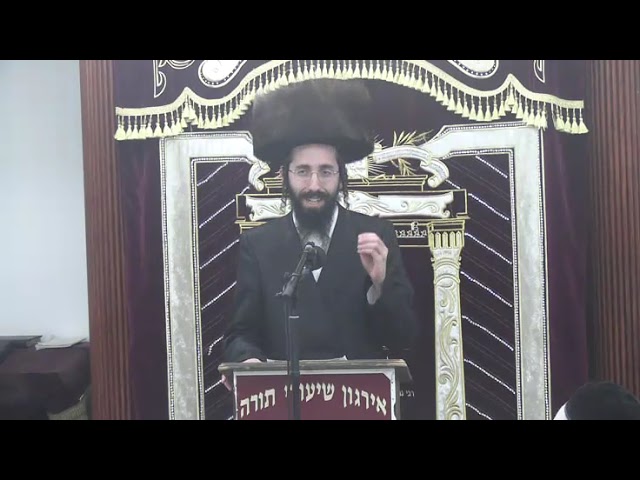 אמירת תהלים בהלכה - ר' אלעזר ניסן רובין שליט"א