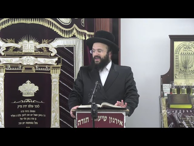 הלכות ועניני ברית מילה - ר' סנדר רכניצר שליט"א