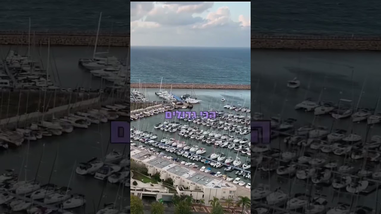 אוסף המכוניות הגדול בישראל , #לאהאמנתיעדשבאתי לראות