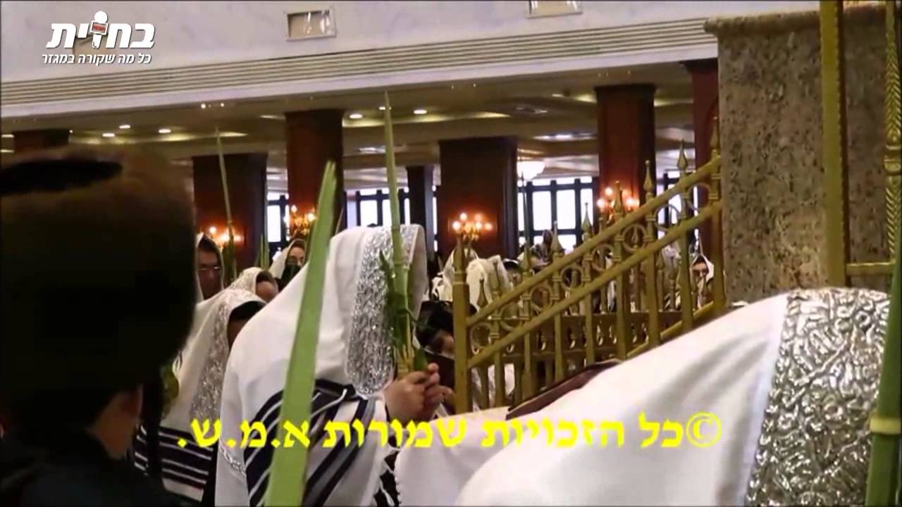 סוכות בחצר בעלזא ● האדמור מבעלזא ב'נענועים' בהלל
