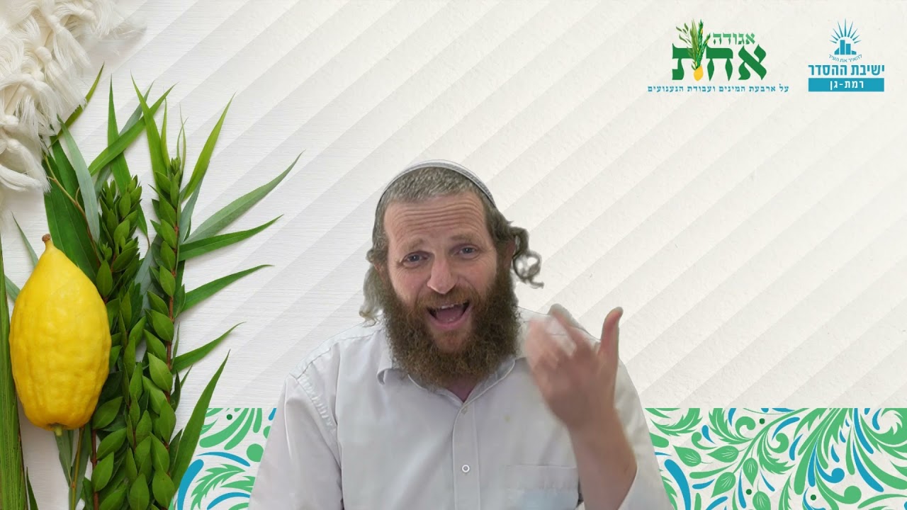תמימות בעבודת ה' | אגודה אחת- ז | ערבת הושענא רבא | הרב דודי ליטמן
