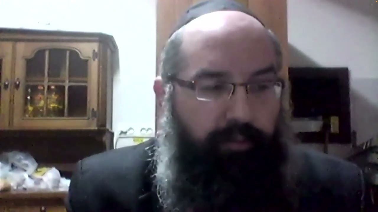 Rabbi Levitansky Addresses Chicago Gathering