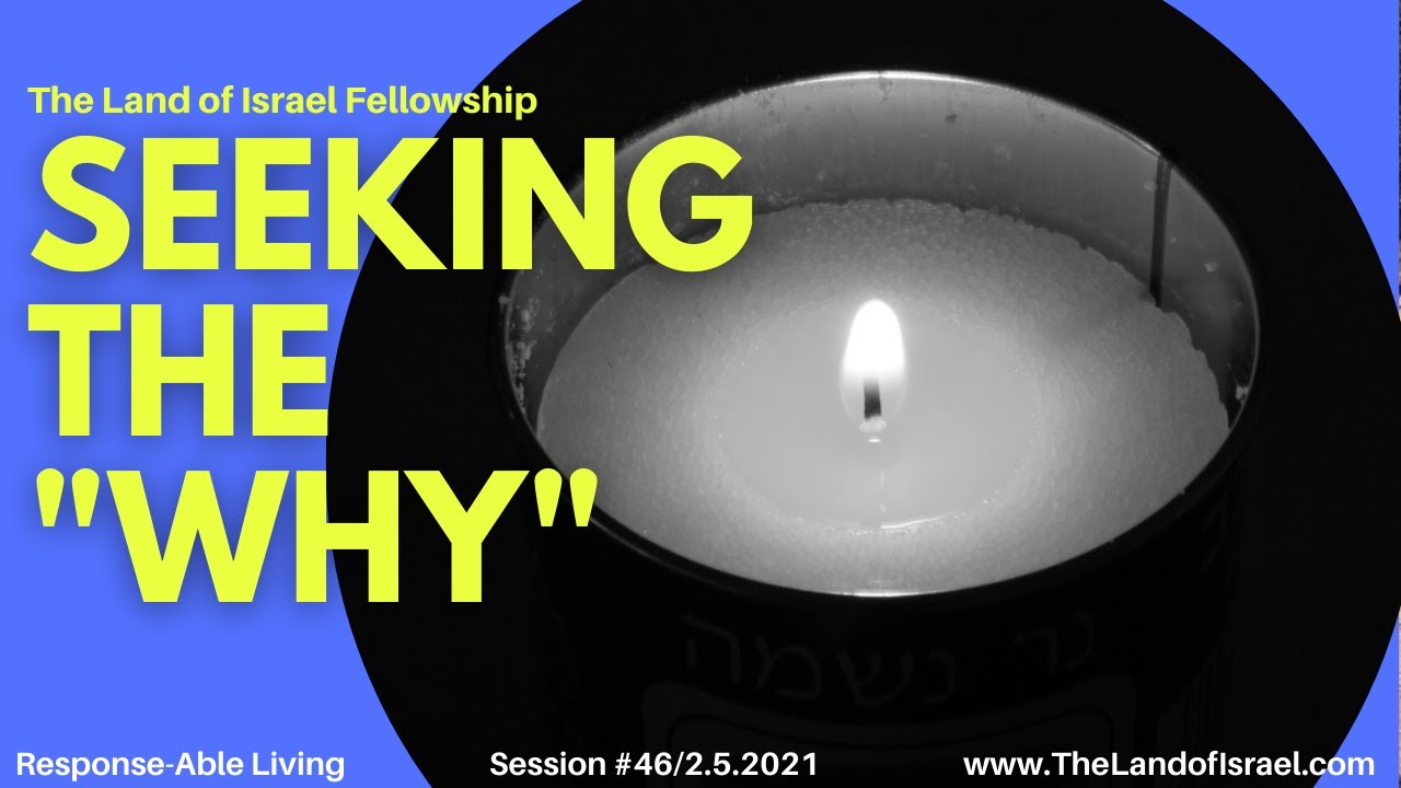 Seeking the "Why"- Ari Abramowitz:  The Land of Israel Fellowhip