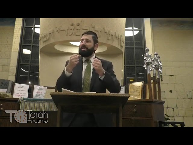 Bnei Yosef Pre-Chanukah Preparation - Parshas Vayeishev and the Eternity of the Menorah