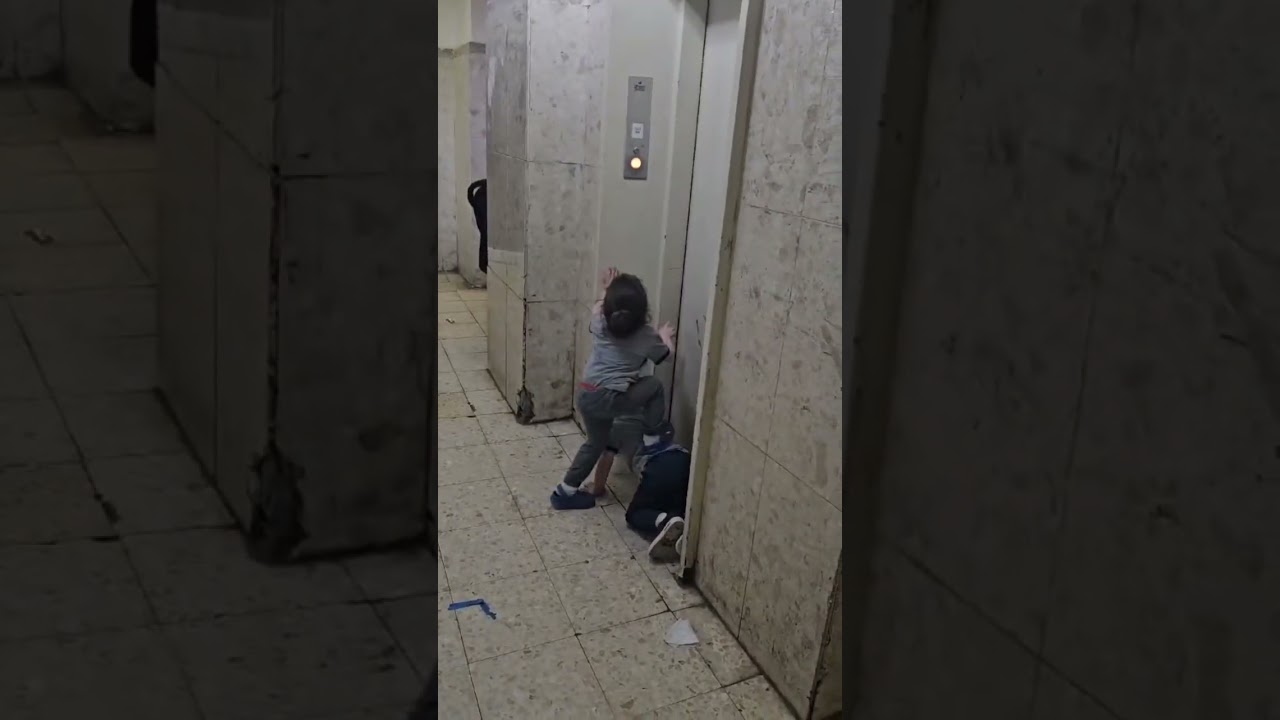 התאומים של חברים שלי חכמים