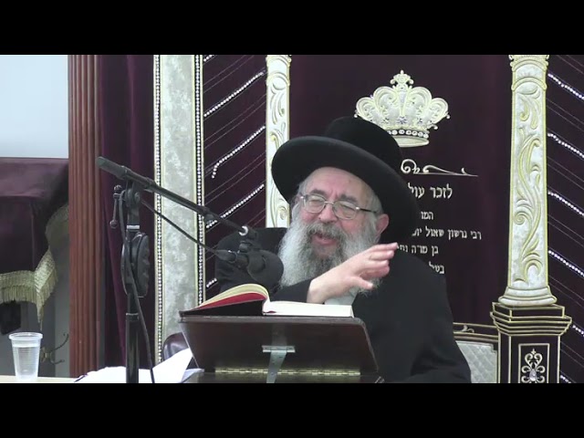 שאלות נחוצות בהלכות פסח - ר' גבריאל ציננער שליט"א