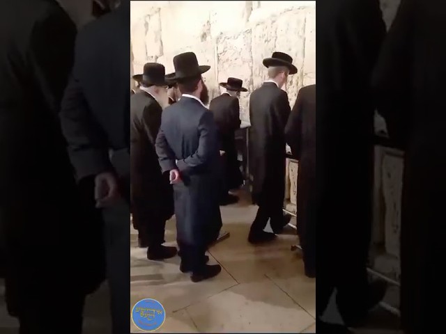 Reb Meilech Biderman Counting the Omer at the Kotel | רבי אלימלך בידרמן בספירת העומר בכותל המערבי