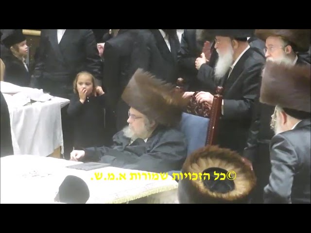מוצ"ש פרשת ויצא תשפ"ד בצל האדמו"ר מבעלזא שליט"א