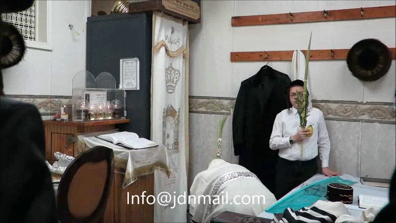 Koson Rebbe Doing Nanuim Sukkos 5777