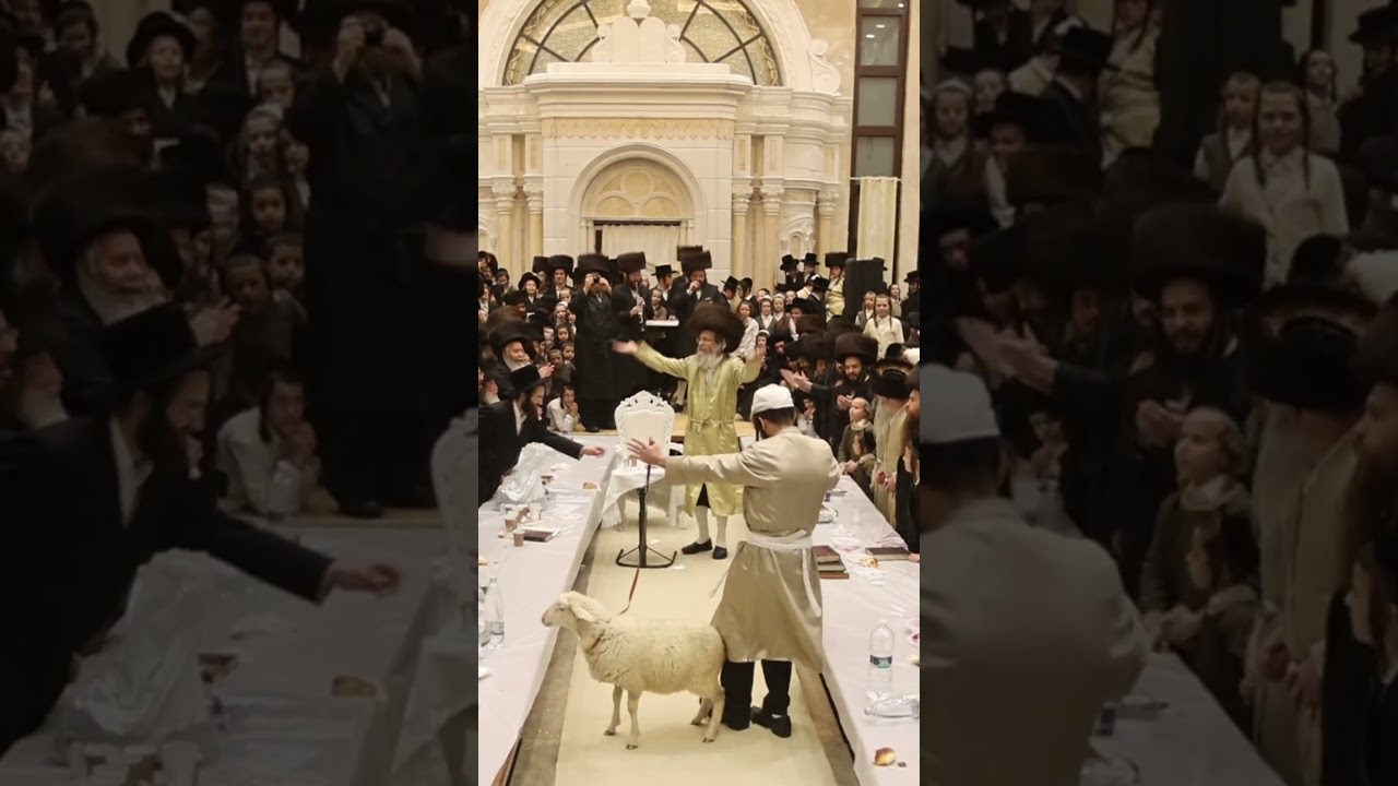 הרב אלימלך בידרמן בשבת נועם הנשמות בבית שמש והכנה לקראת פסח #dance #חסידות #ריקוד #חרדים