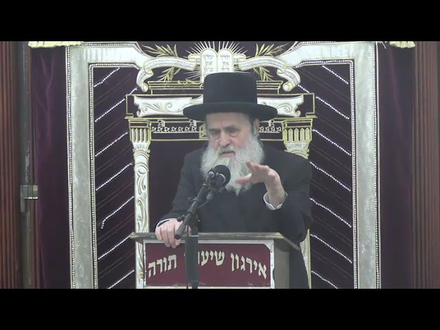 מלאכת בורר בשבת - ר‘ יעקב זיידא שליט“א