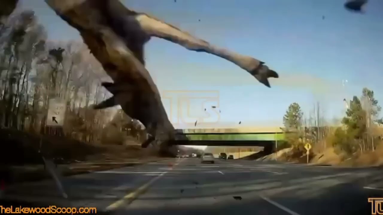 Caught on Dashcam: Deer collision on the GSP in NJ