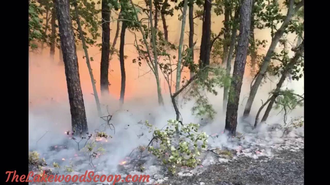 Brush fire in Lakewood
