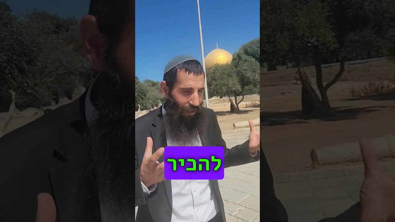 🏖️ בחופש הגדול עולים עם הילדים להר הבית!!🥂 #jerusalem #templemount #החופש_הגדול