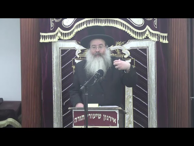 הלכות ערבות -  ר‘ בנימין ברייער שליט“א